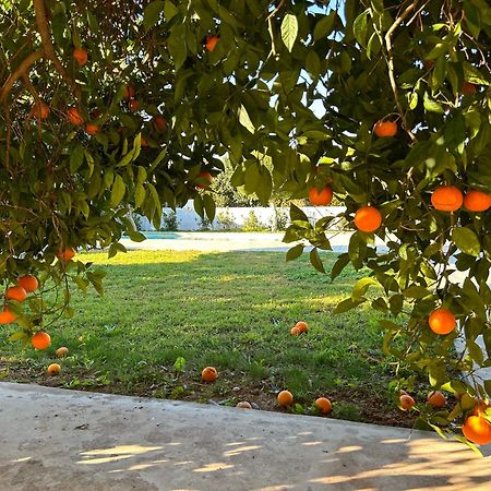 The Orange Garden Apartment Nafplio Exterior photo